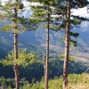 2012.01.21. - Golden Beach, Hegyek